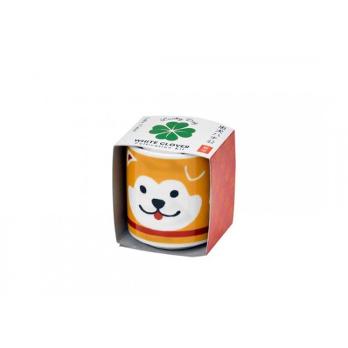 Lucky Plant - Shiba trèfle